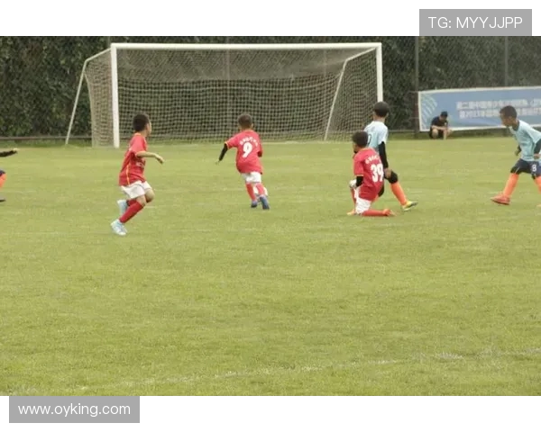 每天追随的足球博主带你洞察绿茵场内外的战术细节与精彩瞬间全貌