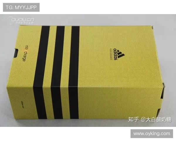 足球鞋盒回收价值分析及其环境影响评估